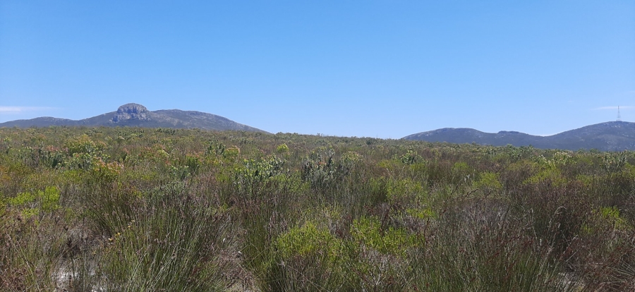 To Let 3 Bedroom Property for Rent in Albertinia Western Cape